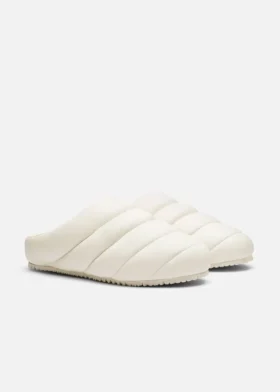 Mule Snail