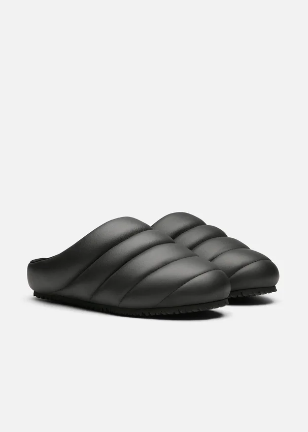 Mule Snail Mule Snail