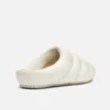 Mule Snail Mule Snail