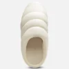 Mule Snail Mule Snail