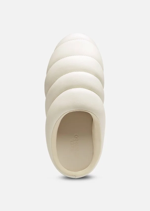 Mule Snail Mule Snail